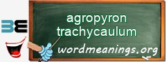 WordMeaning blackboard for agropyron trachycaulum
